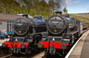 nymr0063.jpg