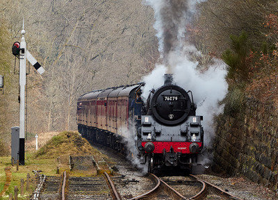 nymr1_6.jpg