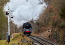 nymr1_4.jpg